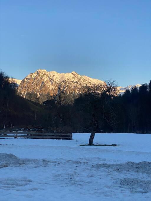 Gruenes Stueble Allgaeuer Alpen Sonthofen Εξωτερικό φωτογραφία